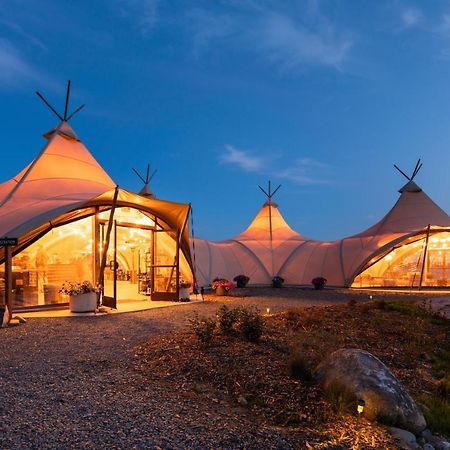 Under Canvas Acadia Surry Extérieur photo