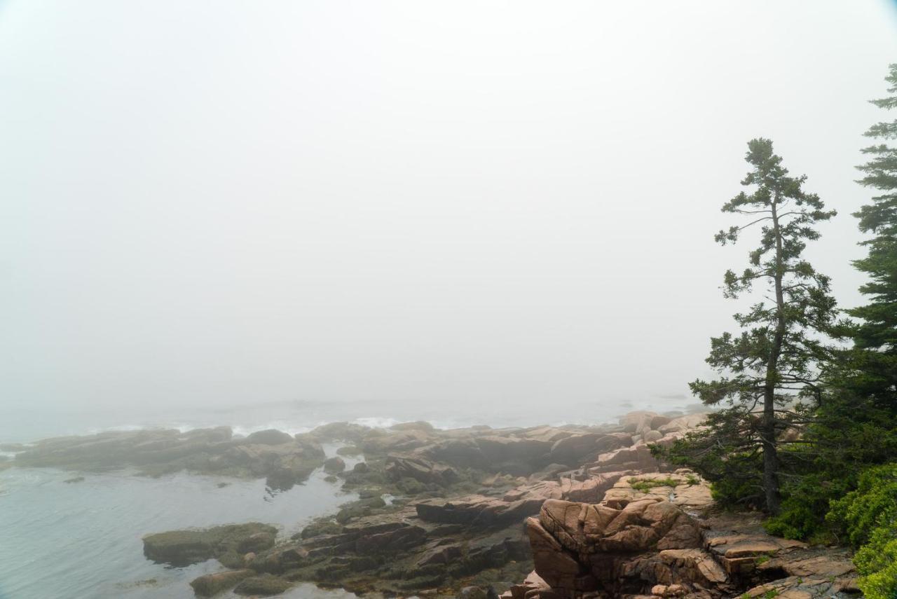 Under Canvas Acadia Surry Extérieur photo