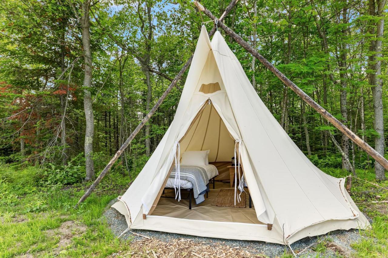 Under Canvas Acadia Surry Extérieur photo