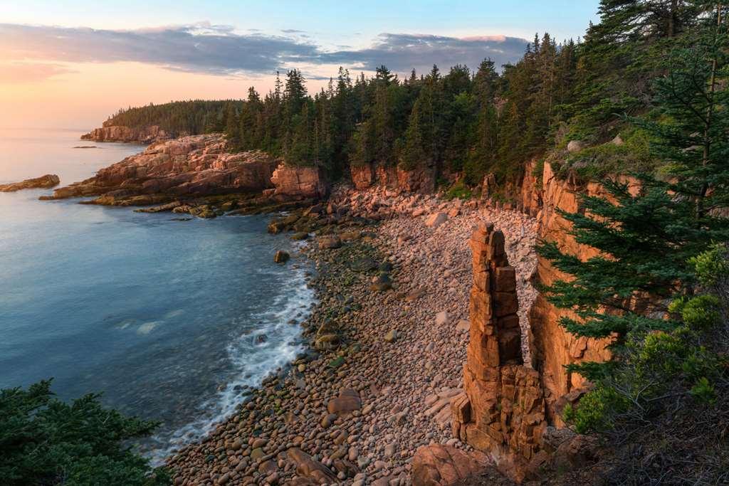 Under Canvas Acadia Surry Nature photo